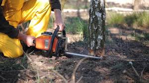 Lawn Grading and Leveling in Weirton, WV